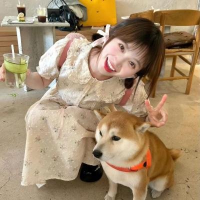 正直的候选人
